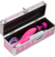 Toy Box Lockable Case-Pink (12x4x4)